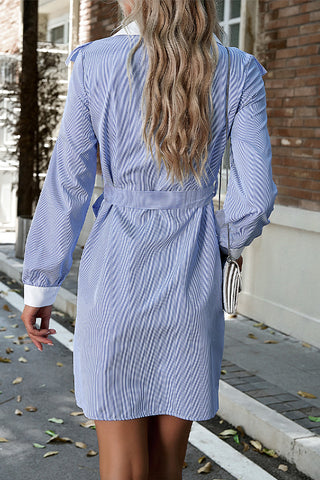 Casual Style Long Sleeve Shirt Dress